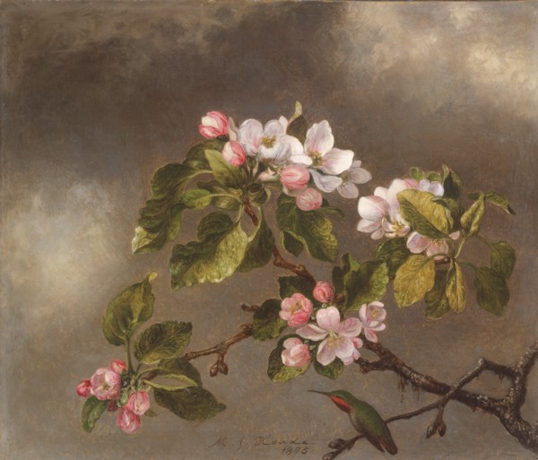 Hummingbird and Apple Blossoms, 1875. Creator: Martin Johnson Heade.