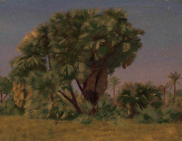 Study of Palm Trees, probably 1868. Creator: Jean-Leon Gerome.