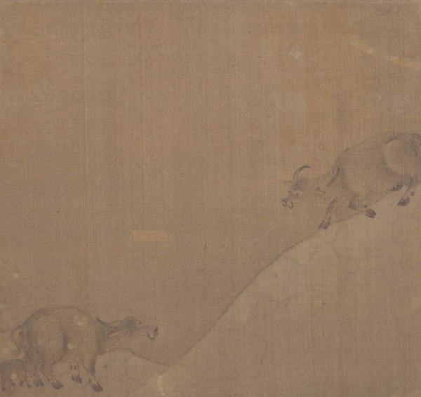Water Buffaloes. Creator: Unknown.
