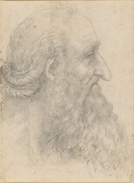 The head of an old bearded man , ca 1517. Creator: Leonardo da Vinci (1452-1519).