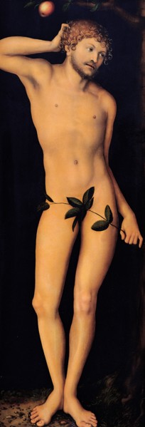 Adam, 1528. Creator: Cranach, Lucas, the Elder (1472-1553).