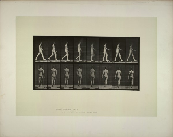 Animal locomotion: males (pelvis cloth), 1887. Creator: Muybridge, Eadweard (1830-1904).
