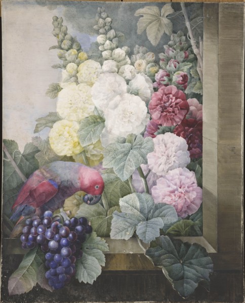 Hollyhocks, grapes and a parrot, 1836. Creator: Redouté, Pierre-Joseph (1759-1840).