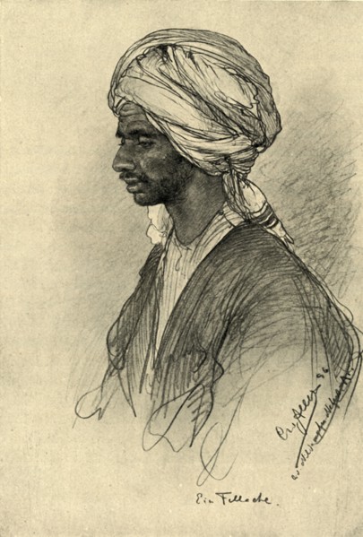 Fellah, Egypt, 1898.  Creator: Christian Wilhelm Allers.