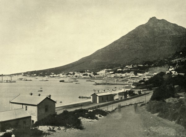 'Simon's Town, Cape Colony', 1901. Creator: Wilson.