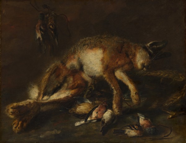 A Hare and Birds. Creator: Jan Fyt.