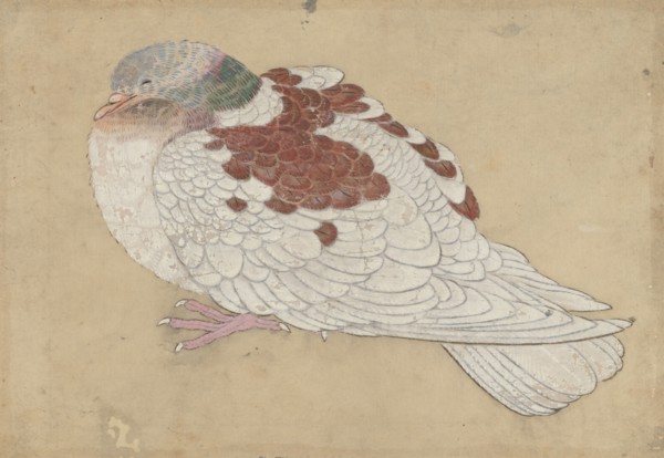 Bird, 18th century. Creator: Unknown.