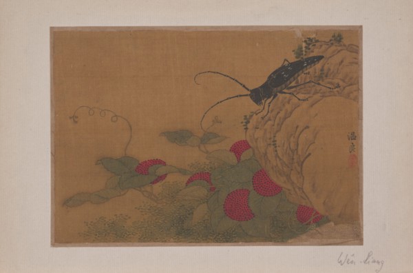 Grasshopper on Rock, 15th century. Creator: Wen Liang.