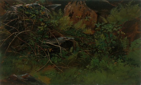 Study from Nature. Creator: William Stanley Haseltine.