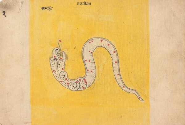 Page from a Dispersed Book of Dreams, mid-late 19th century. Creator: Unknown.