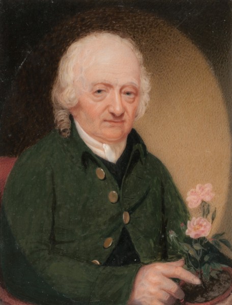 Portrait of a Gentleman, ca. 1810-15. Creator: Unknown.