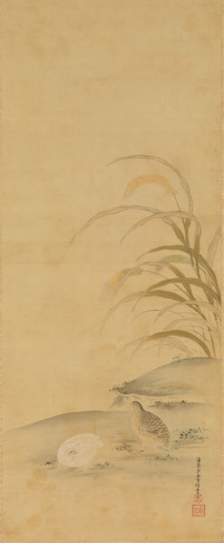 Quail and Millet, late 17th century. Creator: Kiyohara Yukinobu.