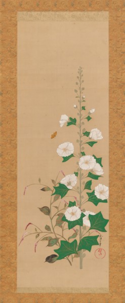 Hollyhocks and Prince?s-Feather Flowers, early 19th century. Creator: Sakai Oho.