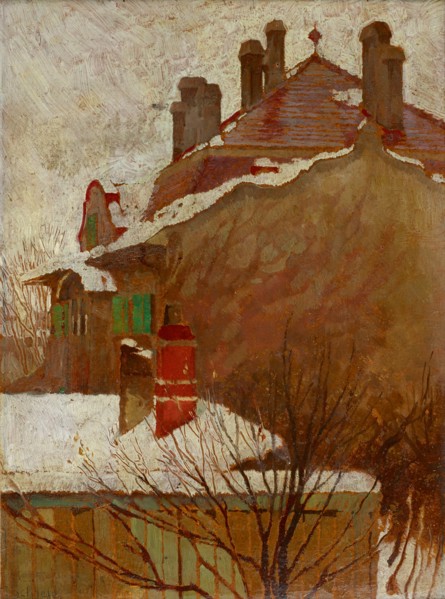 Houses in winter