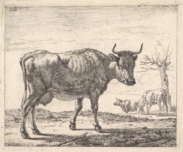Three Cows. Creator: Adriaen van de Velde.