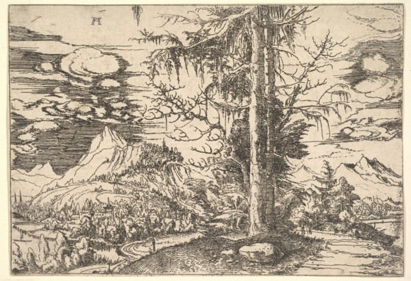 Landscape with a Double Spruce, ca. 1521-22. Creator: Albrecht Altdorfer.