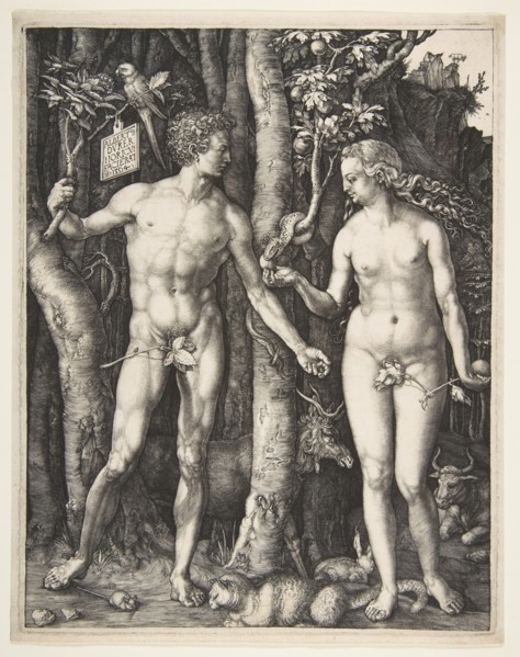 Adam and Eve, 1504. Creator: Albrecht Durer.