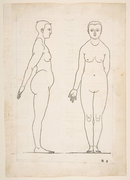 IIllustration from Dürers Vier Bucher von Menslicher Proportion, Nuremberg, 1528.n.d. Creator: Albrecht Durer.