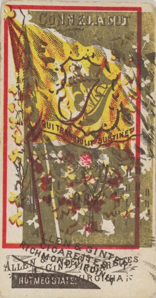 Connecticut and Ireland