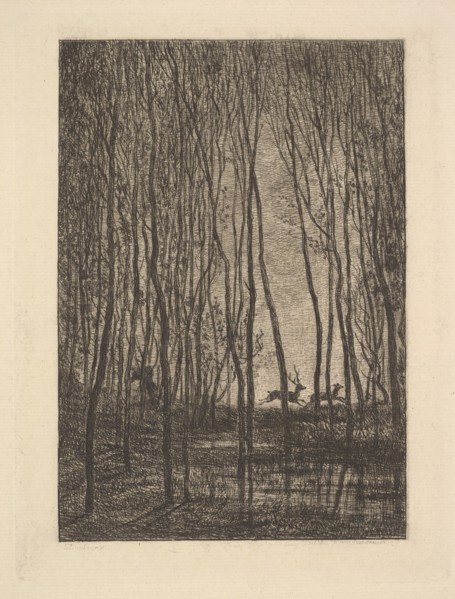 Deer in the Woods, 1850. Creator: Charles Francois Daubigny.