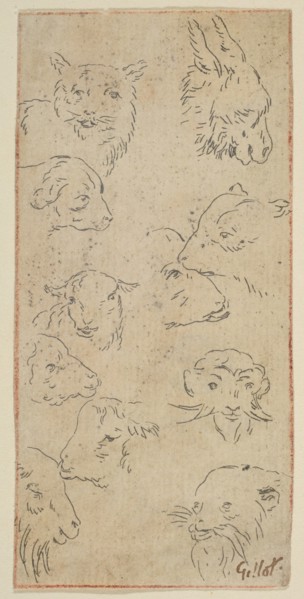 Study of animal heads.n.d. Creator: Claude Gillot.