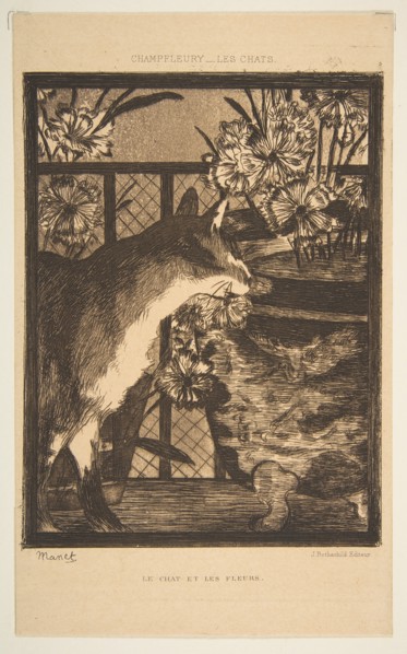 Cat and Flowers. Illustration to The Cats by Champfleury, 1869. Creator: Edouard Manet.
