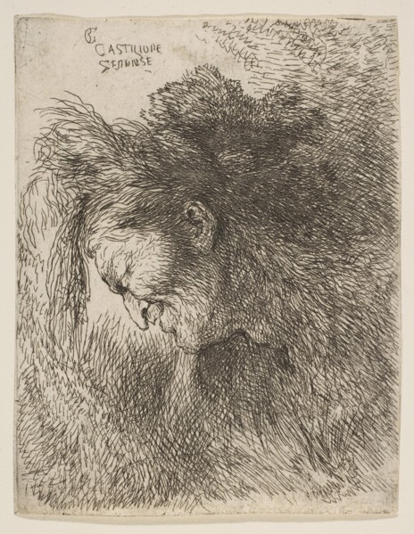 Head of an old man looking down, facing Left, from the series of 'Small Heads in ..., ca. 1645-1650. Creator: Giovanni Benedetto Castiglione.