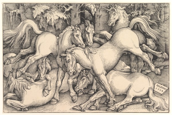 Group of Seven Horses, 1534. Creator: Hans Baldung.