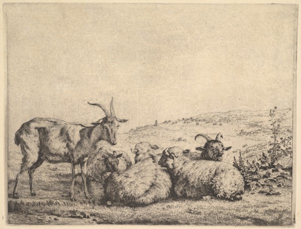 Two Goats and Three Sheep, 1655. Creator: Karel Du Jardin.