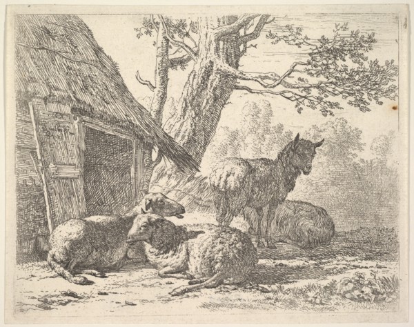 Four sheep, one sheep stands among three others lying on the ground next to a shed with th..., 1658. Creator: Karel Du Jardin.