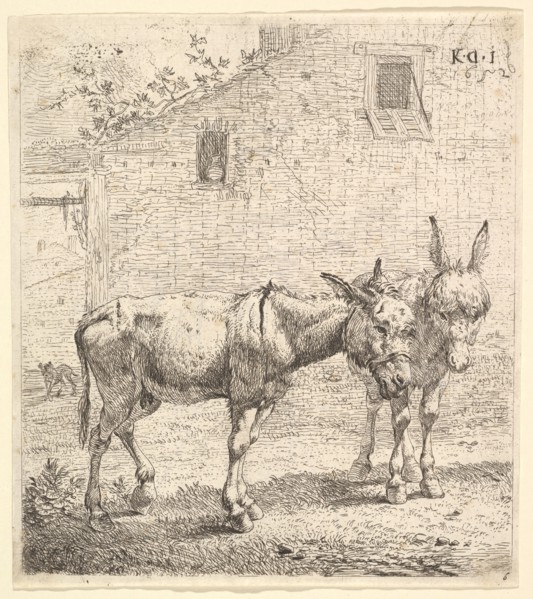 Two donkeys standing in a grassy yard, one in profile view facing right and another behind..., 1652. Creator: Karel Du Jardin.