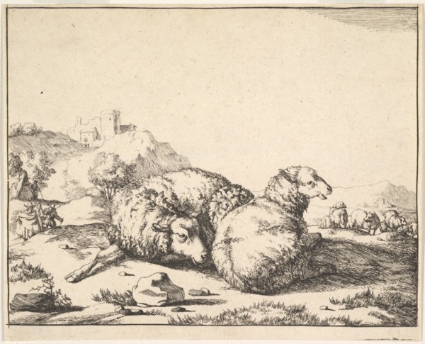 Sheep, from a set of 16 plates, 1664. Creator: Marcus de Bye.