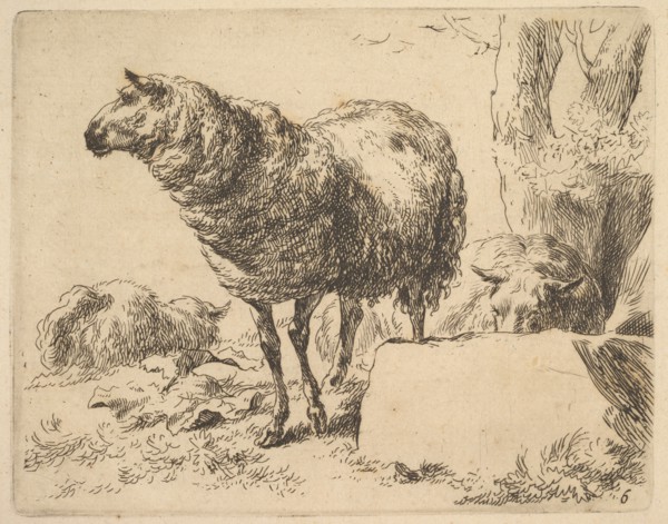 from The Set of Sheep. Creator: Nicolaes Berchem.