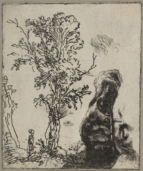 Sheet with Two Studies: A Tree and the Upper Part of a Head of Rembrandt Wearing a Vel..., ca. 1642. Creator: Rembrandt Harmensz van Rijn.