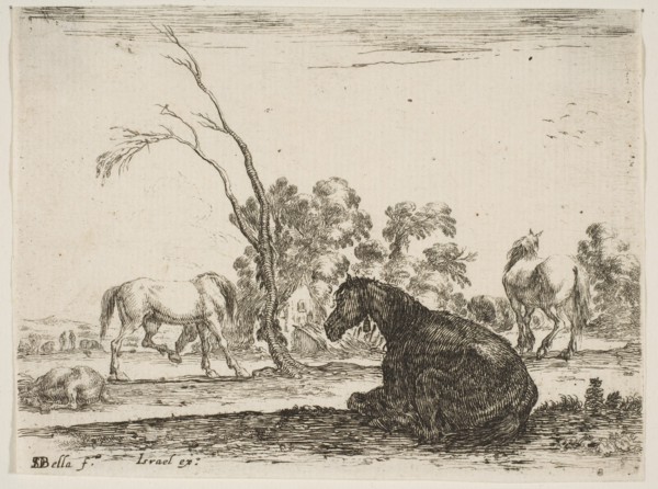 Plate 8: a seated horse to right, seen from behind and turned to the left, three other hor..., 1642. Creator: Stefano della Bella.