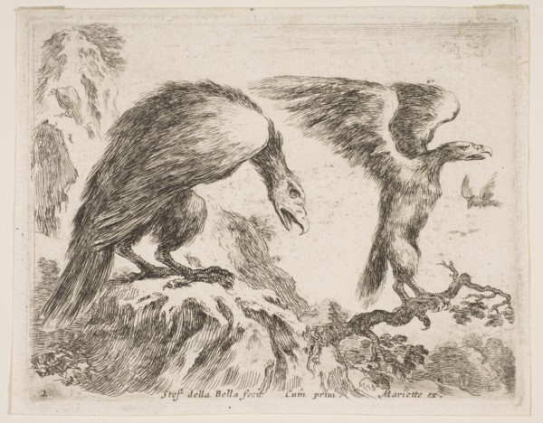 Plate 2: eagle and eaglet, from 'Various animals'