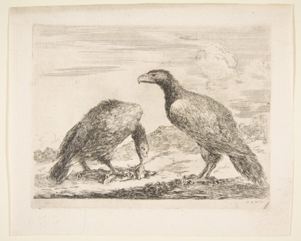 Two eagles, one devouring a lamb, from 'Eagles'