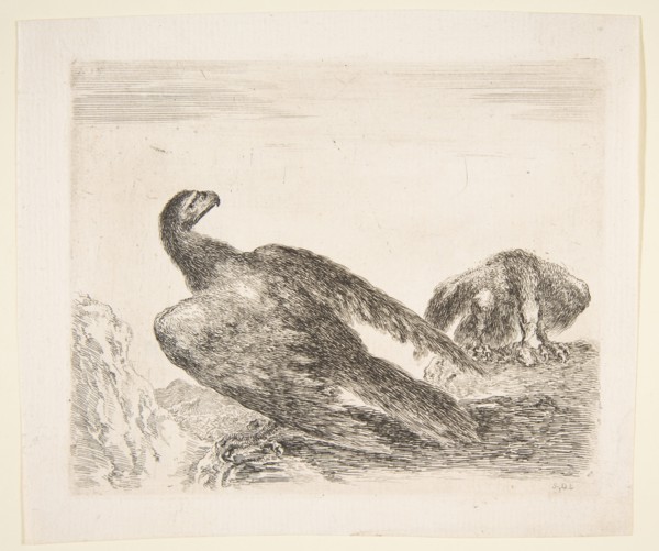 Two eagles, one with prey, from 'Eagles'