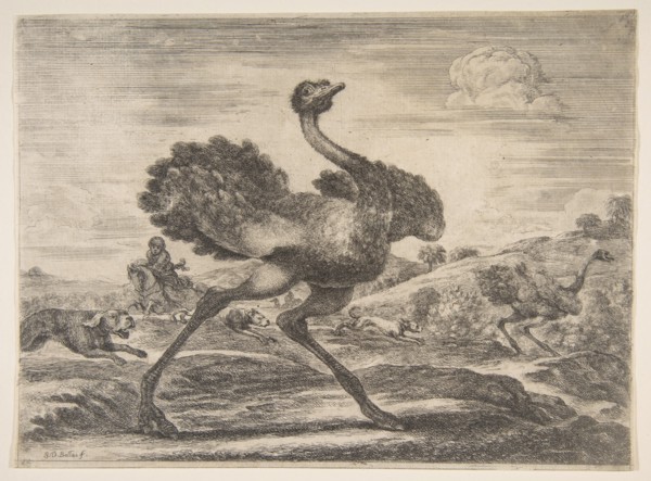 Ostrich hunt, from 'Animal hunts'