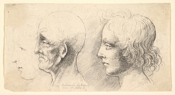 Three profile heads, one in outline only, 1625-77. Creator: Wenceslaus Hollar.