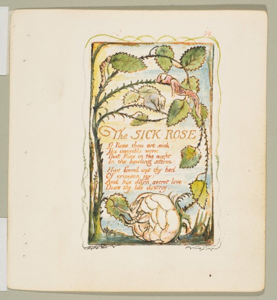 Songs of Innocence and of Experience: The Sick Rose, ca. 1825. Creator: William Blake.