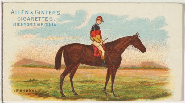 Fenelon, from The World's Racers series