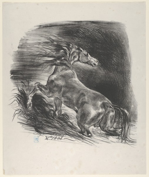 Wild Horse, 1828.