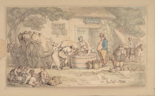 Farming scene