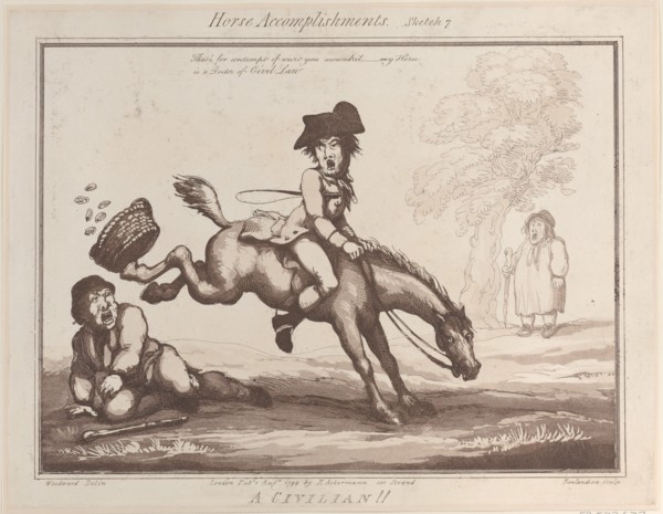 Horse Accomplishments