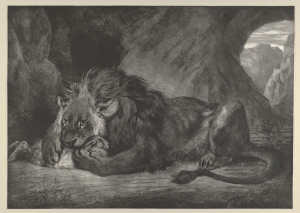 Lion of the Atlas Mountains
