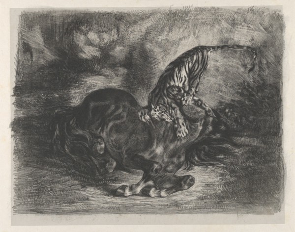 Wild Horse Felled by a Tiger