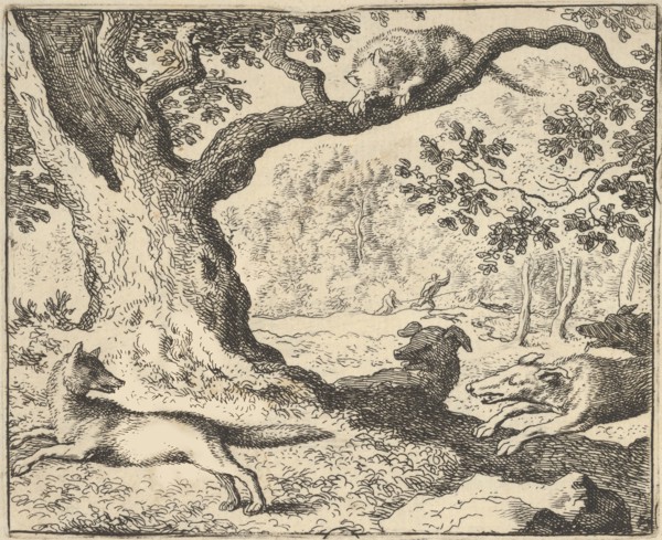 Following Renard's False Story