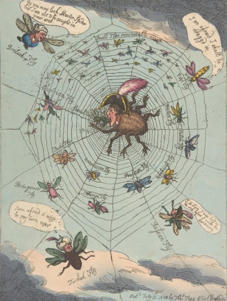 The Corsican Spider in His Web!