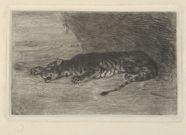 Tiger Lying at the Entrance of its Lair